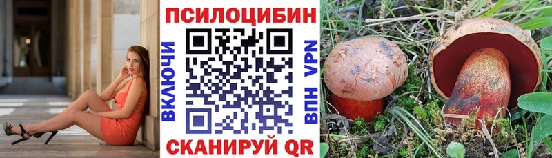 Псилоцибиновые грибы Psilocybine cubensis Белый